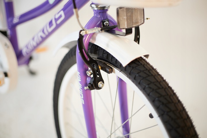 Rower dziecięcy 20 cali dla dziewczynki koszyk bagażnik frędzle 5-9 lat fio