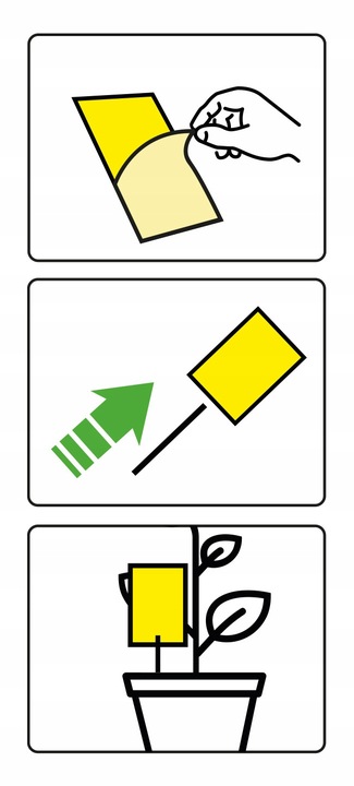 LEP DO DONICZEK SZKLARNI NA MSZYCE ZIEMIÓRKI MUSZKI MRÓWKI NO PEST (60 SZT)