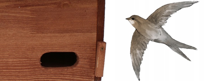 Budka lęgowa dla jerzyka impregnowana typ Jerzyk