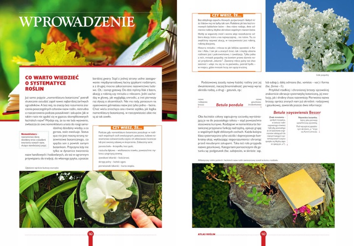 ROK W OGRODZIE Joanna Mikołajczyk OGRÓD I UPRAWA ROŚLIN ATLAS TWARDA