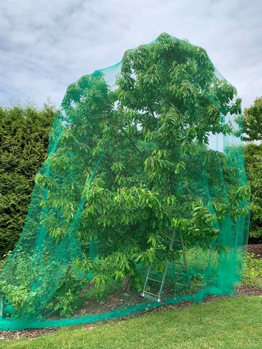 Siatka ochronna na oczko wodne basen liście 15x15m +KOTWY przeciw liściom