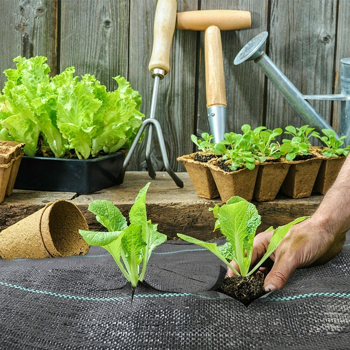 AGROWŁÓKNINA MATA ANTYCHWASTOWA 0,8x100m AGROTKANINA NA CHWASTY 70G MOCNA