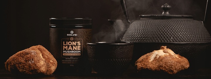 LIONS MANE 10:1 SOPLÓWKA JEŻOWATA 100G SOLVE LABS