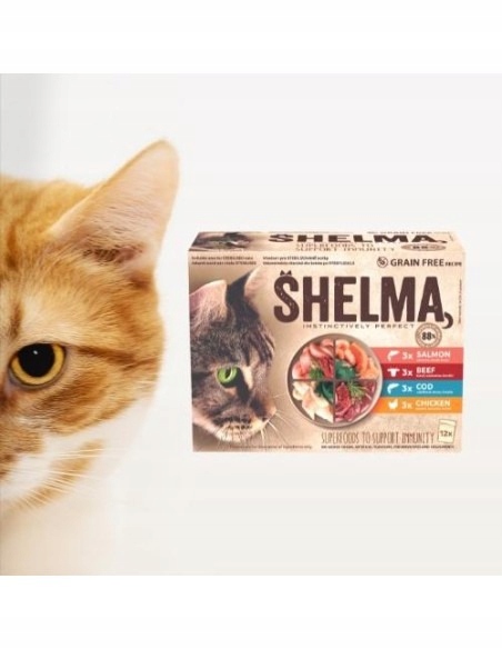 MOKRA KARMA DLA KOTA SHELMA MEGA BOX 40X85G FILECIKI MIX 4 SMAKÓW BEZ ZBÓŻ