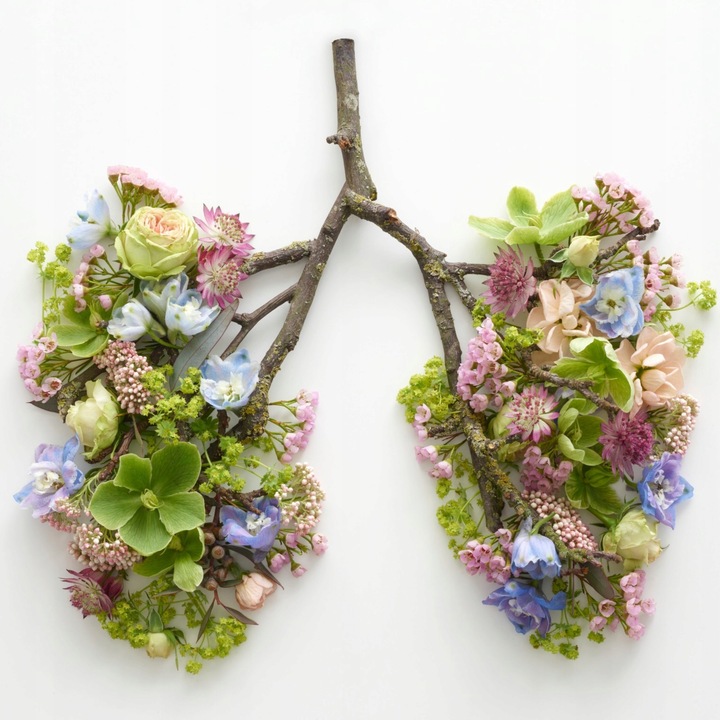 ALERGIA HERBATKA na alergię KATAR SIENNY pachnotka kwercetyna naturalna100%