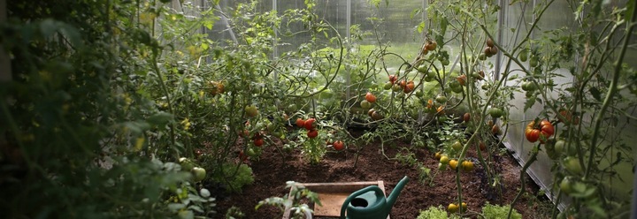 BECZKA PLASTIKOWA na wodę DO KISZENIA KAPUSTY OGÓRKÓW 50L KWADRATOWA atest