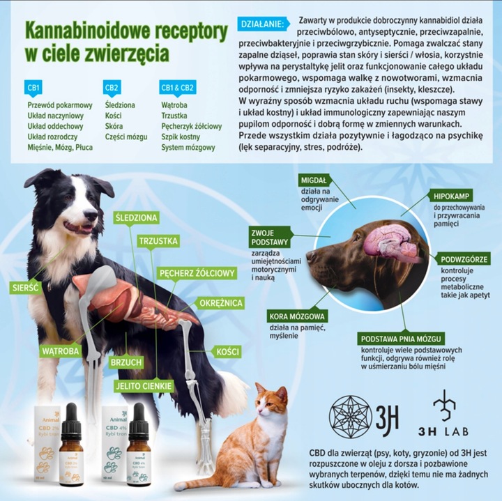 CBD 9% OLEJEK KONOPNY DLA PSÓW PSA KOTÓW KOTA 50ml FULL SPECTRUM CERTYFIKAT