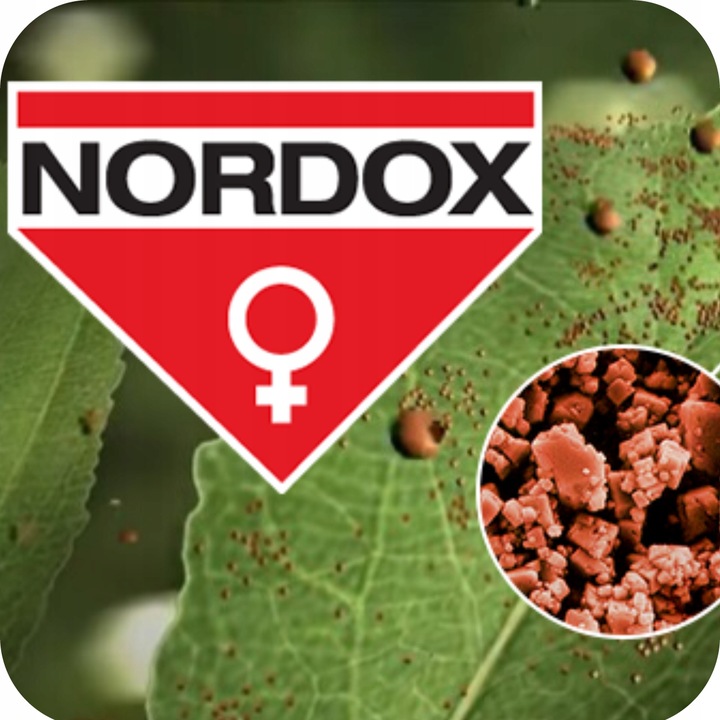 Nordox 75WG MIEDZ 1kg ŚRODEK GRZYBOBÓJCZY choroby grzybowe PARCH MĄCZNIAK