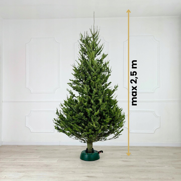 STOJAK POD CHOINKĘ CHOINKOWY STABILNA PODSTAWKA DO ŻYWEJ CHOINKI DO 2.5 M