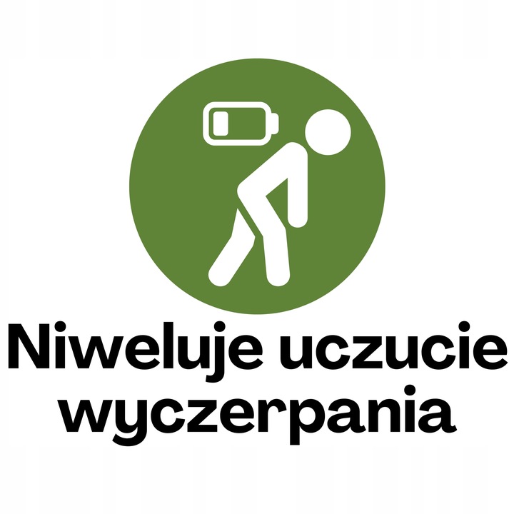 Architekt Max odchudzanie FAT BURNER Spalacz tłuszczu Metabolizm