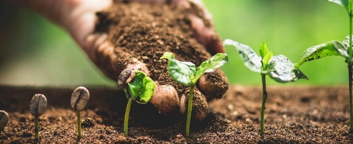 AdeSil krzemowy biostymuator wzrostu roślin 1 kg