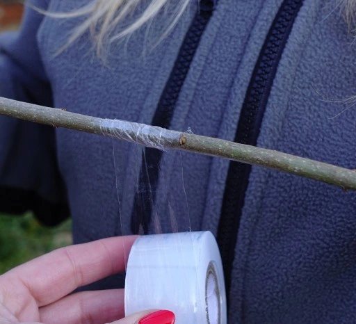 ZESTAW SEKATOR DO SZCZEPIEŃ OKULIZACJI DRZEW krzewów + taśma 11 szt +MAŚĆ