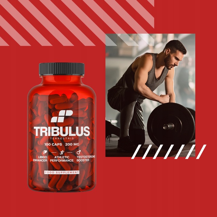 TRIBULUS TESTOSTERON TERRESTRIS BUZDYGANEK TESTO LIBIDO 100 MUSCLE POWER