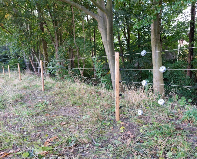 Izolatory do pastucha elektrycznego do drewna 100szt elektryzator drut