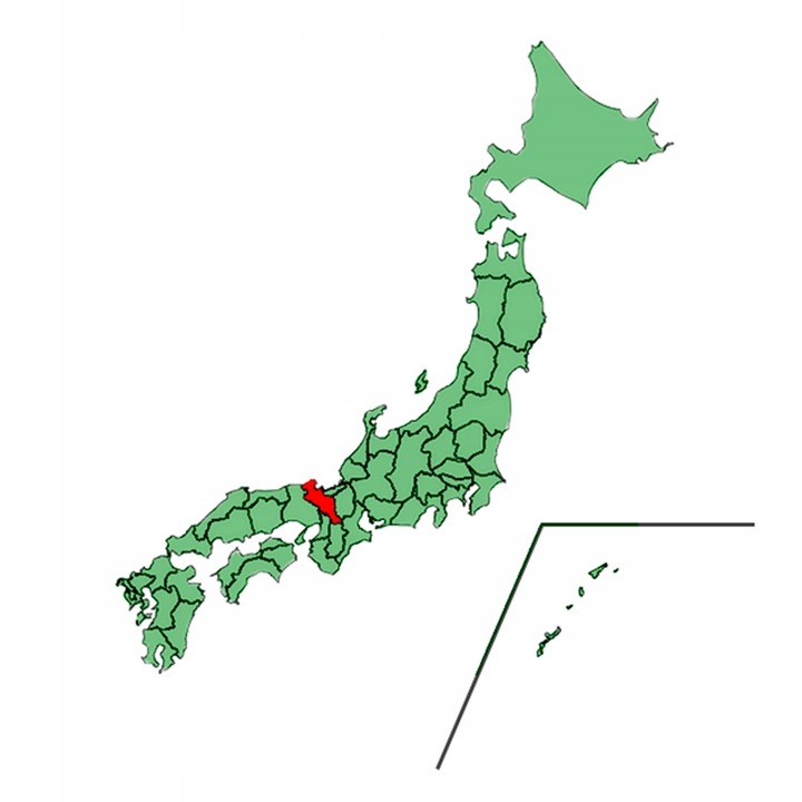 ZESTAW Startowy Do Herbaty Matcha BIO 100g z Piękną Czarką Miotełką i Łyżką