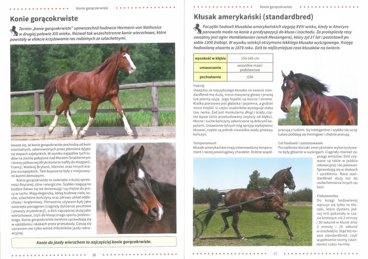 ATLAS KONI RASY OPIEKA ZDROWIE JEŹDZIECTWO ALBUM TWARDA