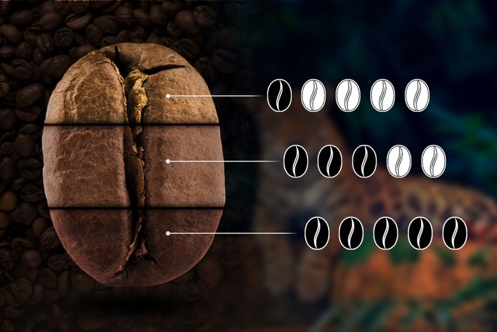 Kawa Mielona Świeżo Palona 100% Arabica Brazylia 500G Eight Cafe