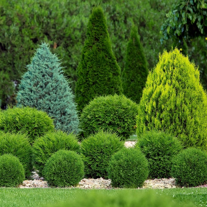 DUŻY NAWÓZ DO IGLAKÓW I TUI BOGATY SKŁAD WYBARWIENIE IGIEŁ 15 KG TARGET