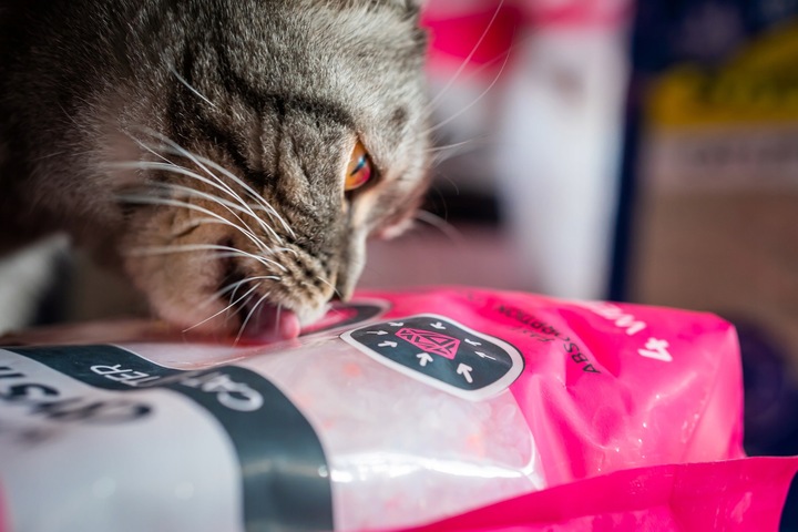 Żwirek sylikonowy silikonowy dla kota 3,8 l x 4