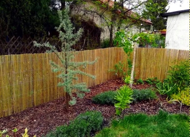 Mata bambusowa osłonowa na płot , ogrodzenie 1,2 x 5 m ( z listewek )