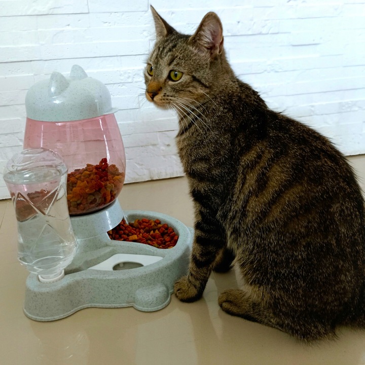 AUTOMATYCZNY PODAJNIK WODY I KARMY MISKA DLA KOTA I PSA DOZOWNIK 2W1 POIDŁO