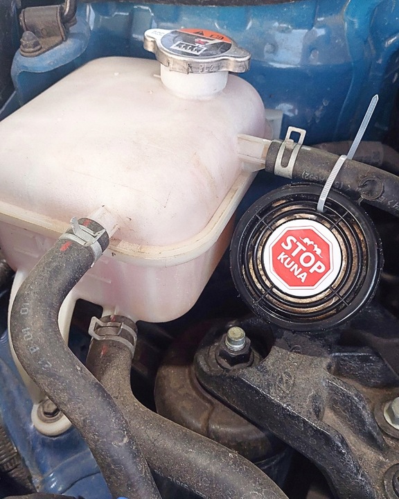 ODSTRASZACZ KUN SKUTECZNY NA ALLEGRO ŚRODEK NA KUNY DO SAMOCHODU