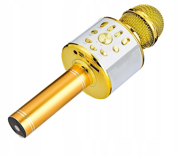 MIKROFON KARAOKE GŁOŚNY Z LAMPKAMI LED DMX ECHO