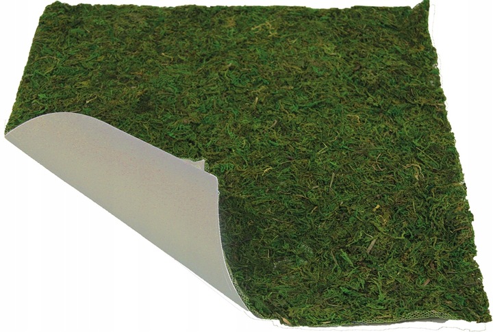 WYSUSZONY MECH NATURALNY NA PŁYCIE ARKUSZ DO DEKORACJI SZOPKI 60 x 40 CM