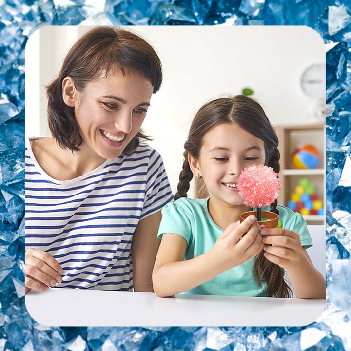 HODOWLA KRYSZTAŁÓW KRYSZTAŁY Eksperyment Edukacyjny 6 Drzewek Zestaw XXL