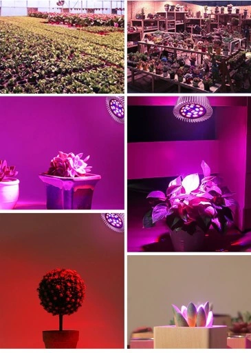 ŻARÓWKA LED GROW LIGHT DO UPRAWY ROŚLIN 40W E27