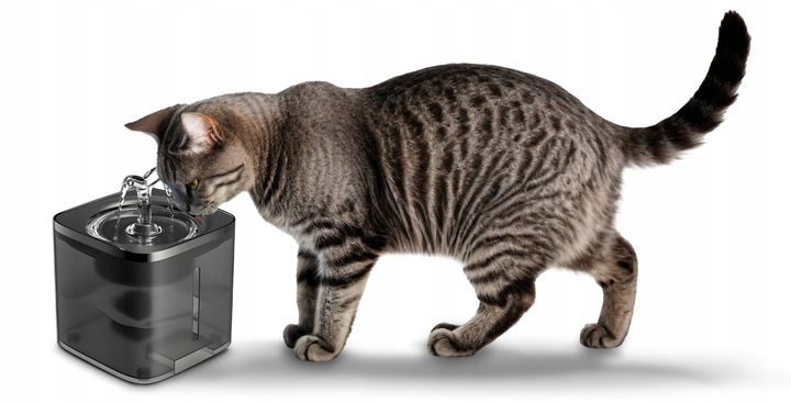POIDEŁKO FONTANNA DLA KOTA PSA MISKA AUTOMATYCZNE POIDŁO + FILTR 2 LITRY
