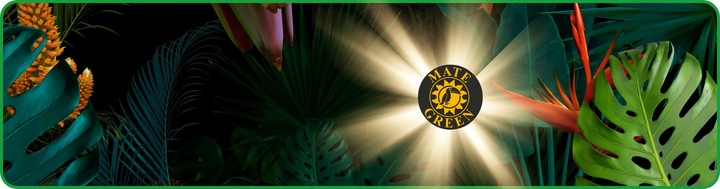 Yerba Mate Green Energia 2x500g 1kg Guarana MOC