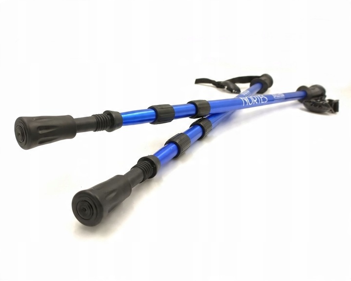 KIJE KIJKI TREKKINGOWE NORDIC EVOLUTION NORTES