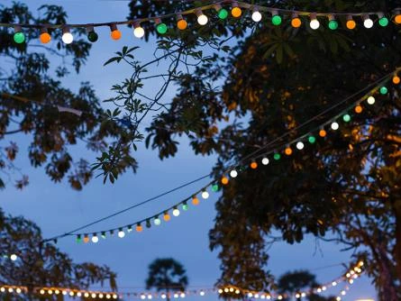 Girlanda świetlna zewnętrzna, 12 m 10 żarówek G4