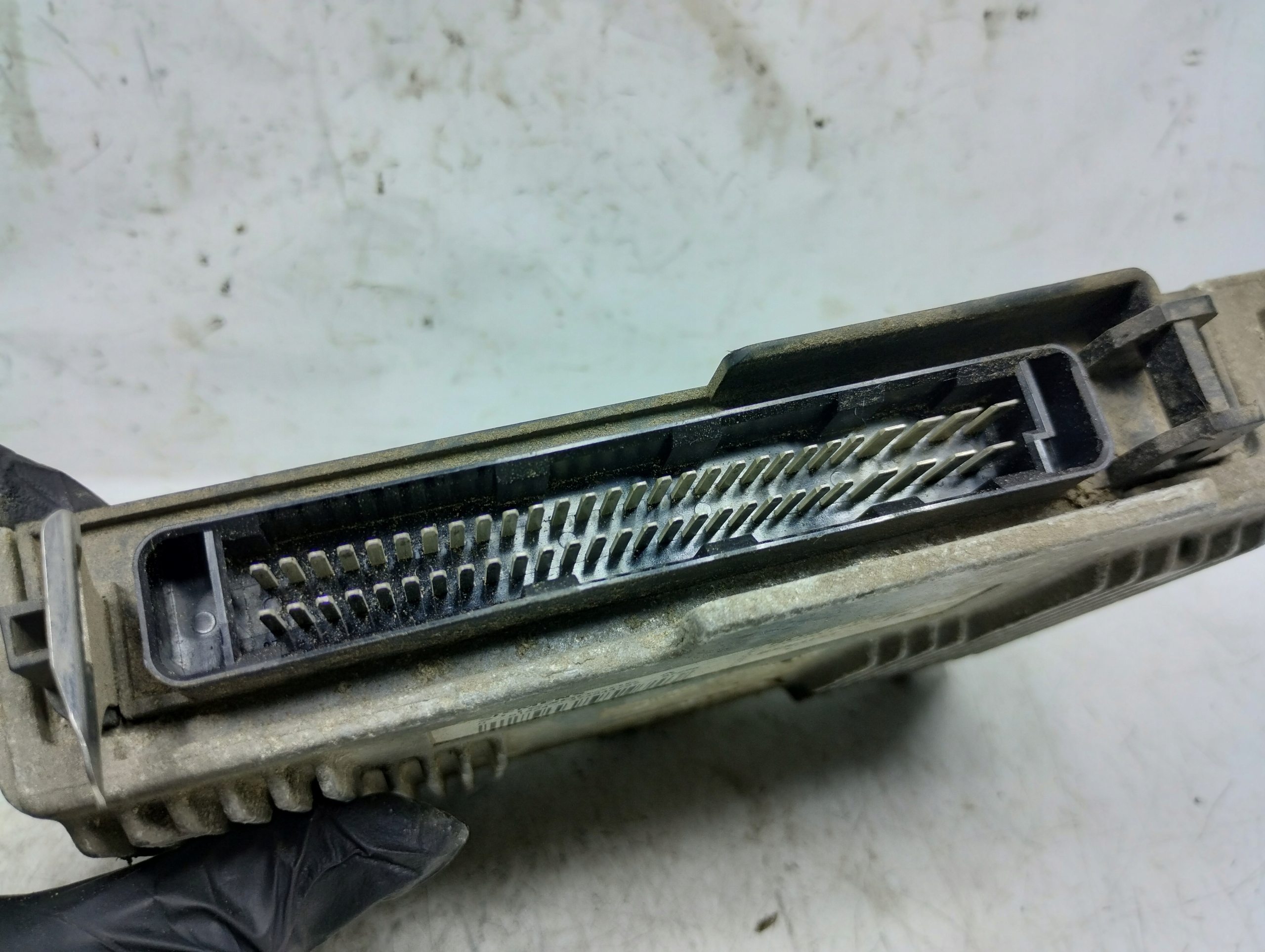 RENAULT SCENIC KOMPUTER 7700105984