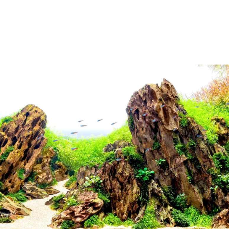 ee87625ece18892c6c34a9d550a92b71.png