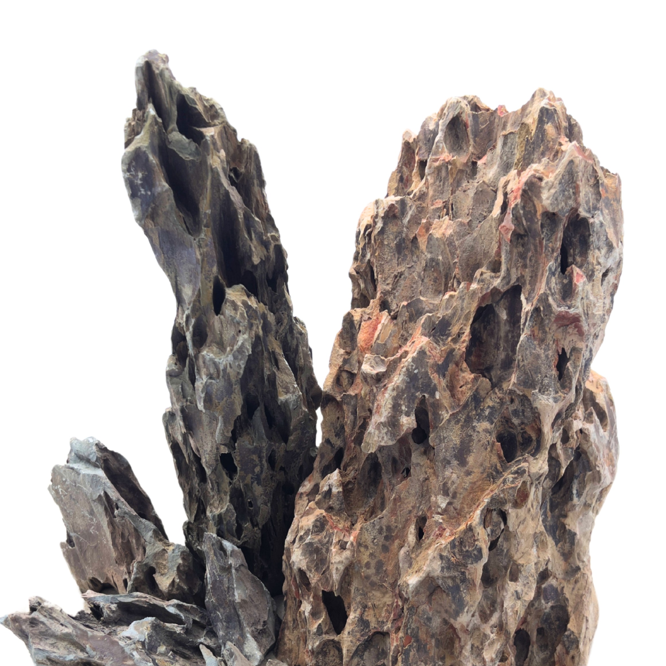 Wprowadź naturalność