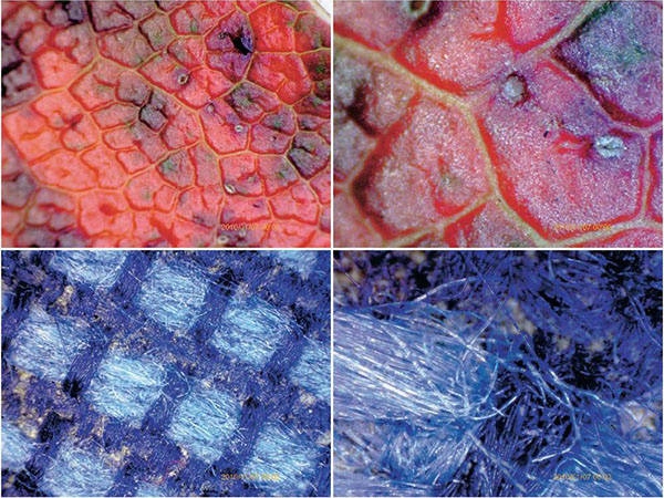 MIKROSKOP CYFROWY USB 1600X OŚWIETLENIE 8 LED 2MPX