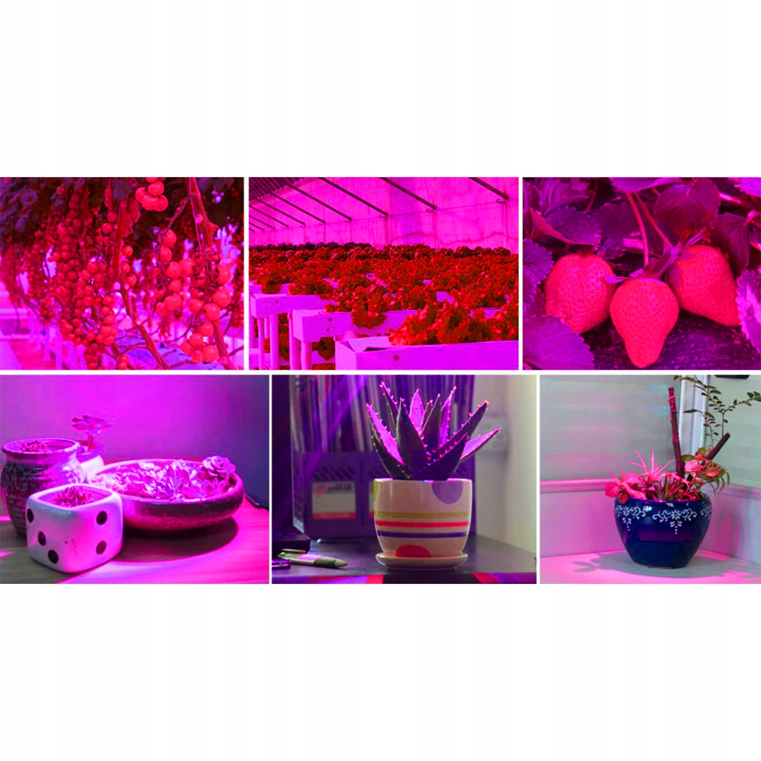 Panel led GROW do uprawy roślin Gardlov 36 W