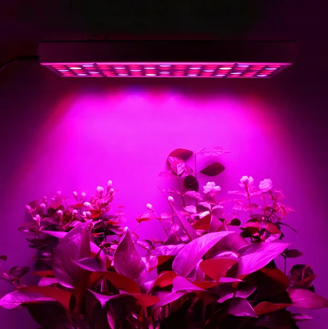Panel led GROW do uprawy roślin Gardlov 36 W