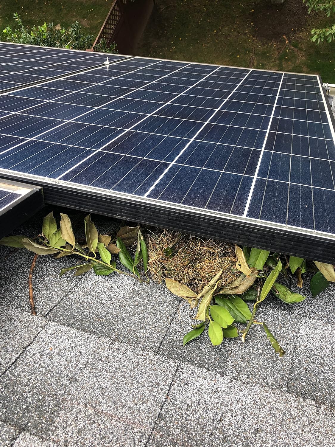 NIEKOMPLETNY Osłona paneli słonecznych MY SQUIRREL GUARD 8" rolka 30m