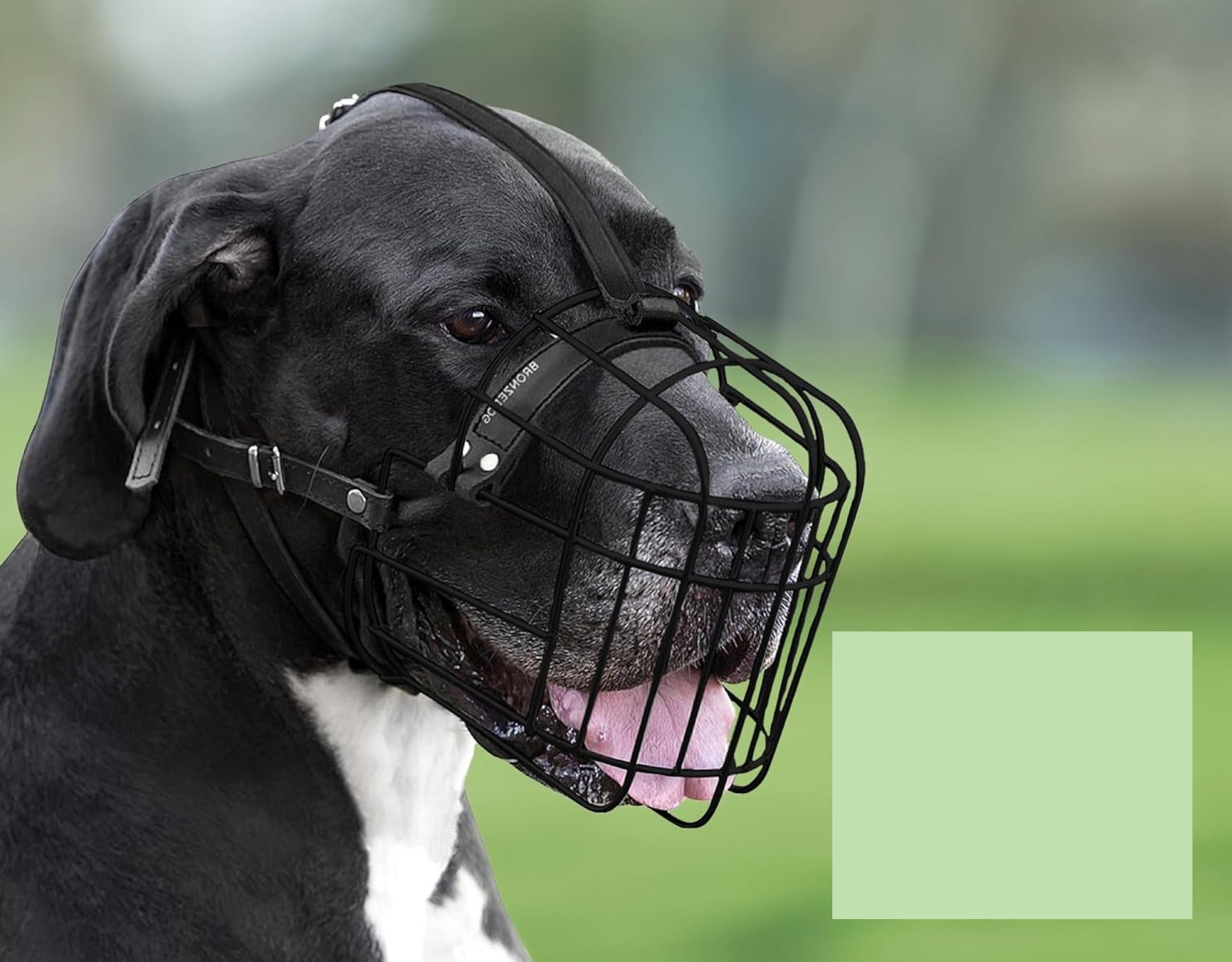 Kaganiec metalowy z paskami skórzanymi BRONZEDOG XL dla dużych psów