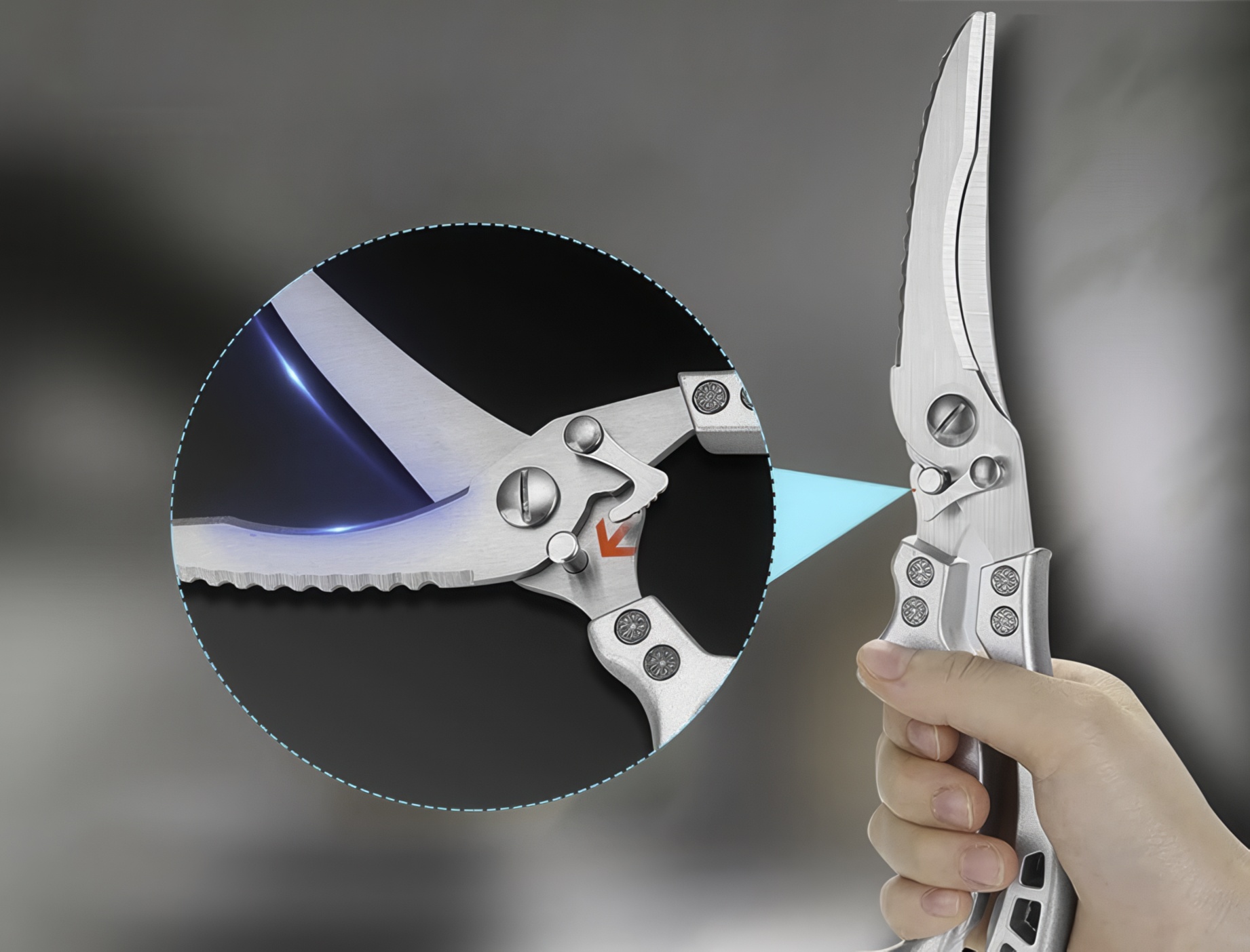 Nożyczki kuchenne RESTEQ model 2w1 do kości, etui, stal nierdzewna