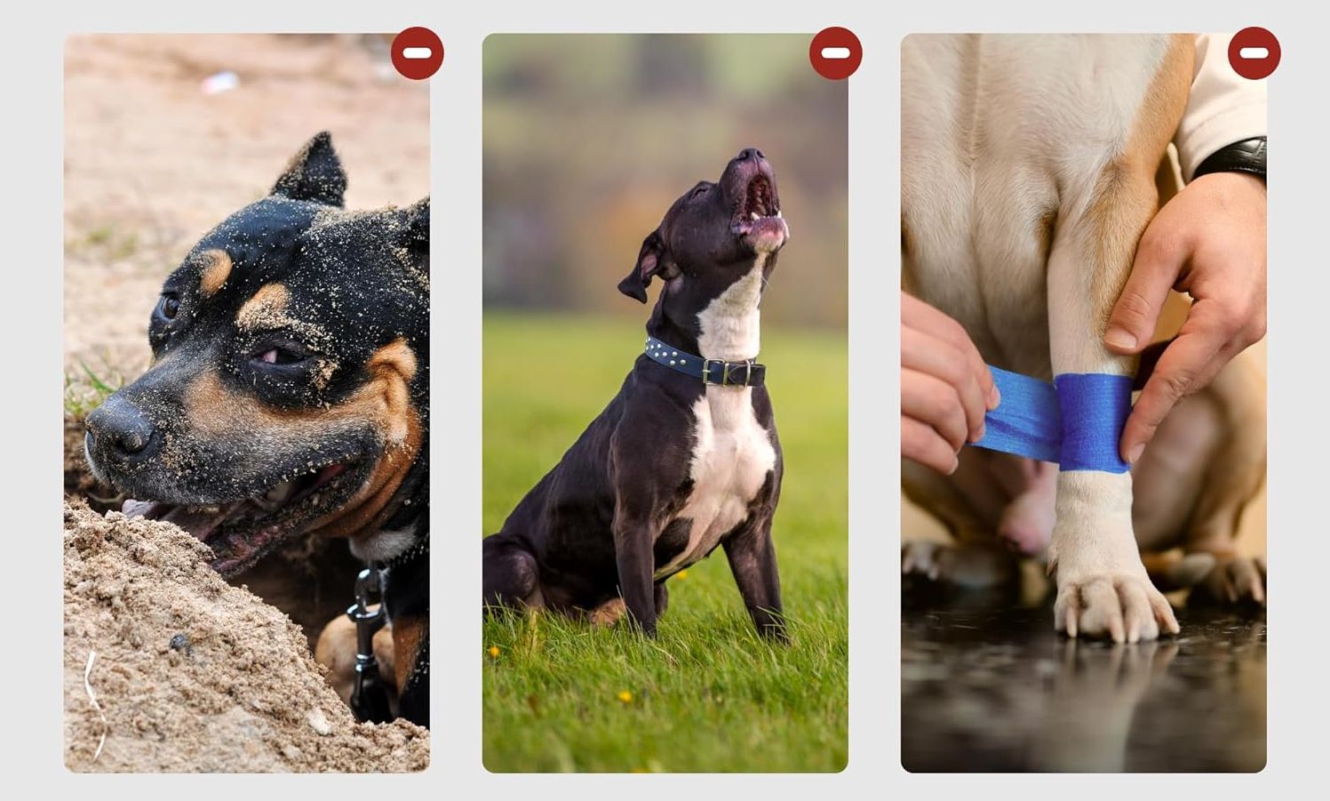 Kaganiec metalowy z paskami skórzanymi BRONZEDOG XL dla dużych psów