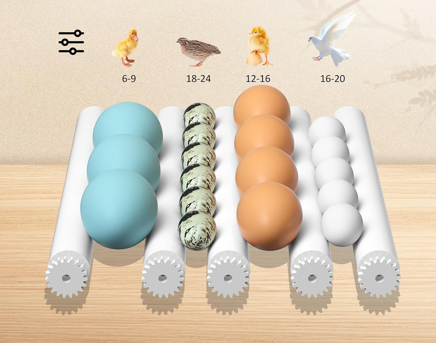 Inkubator automatycznydo jaj Chalixion FT16 regulacja temp. obrót LED woda