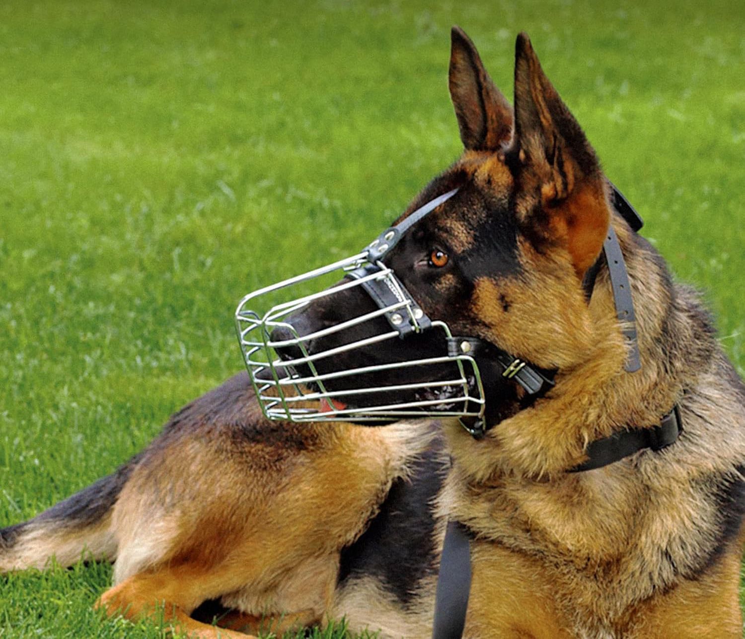 Kaganiec metalowy druciany dla psa BRONZEDOG regulowany L średni-duży