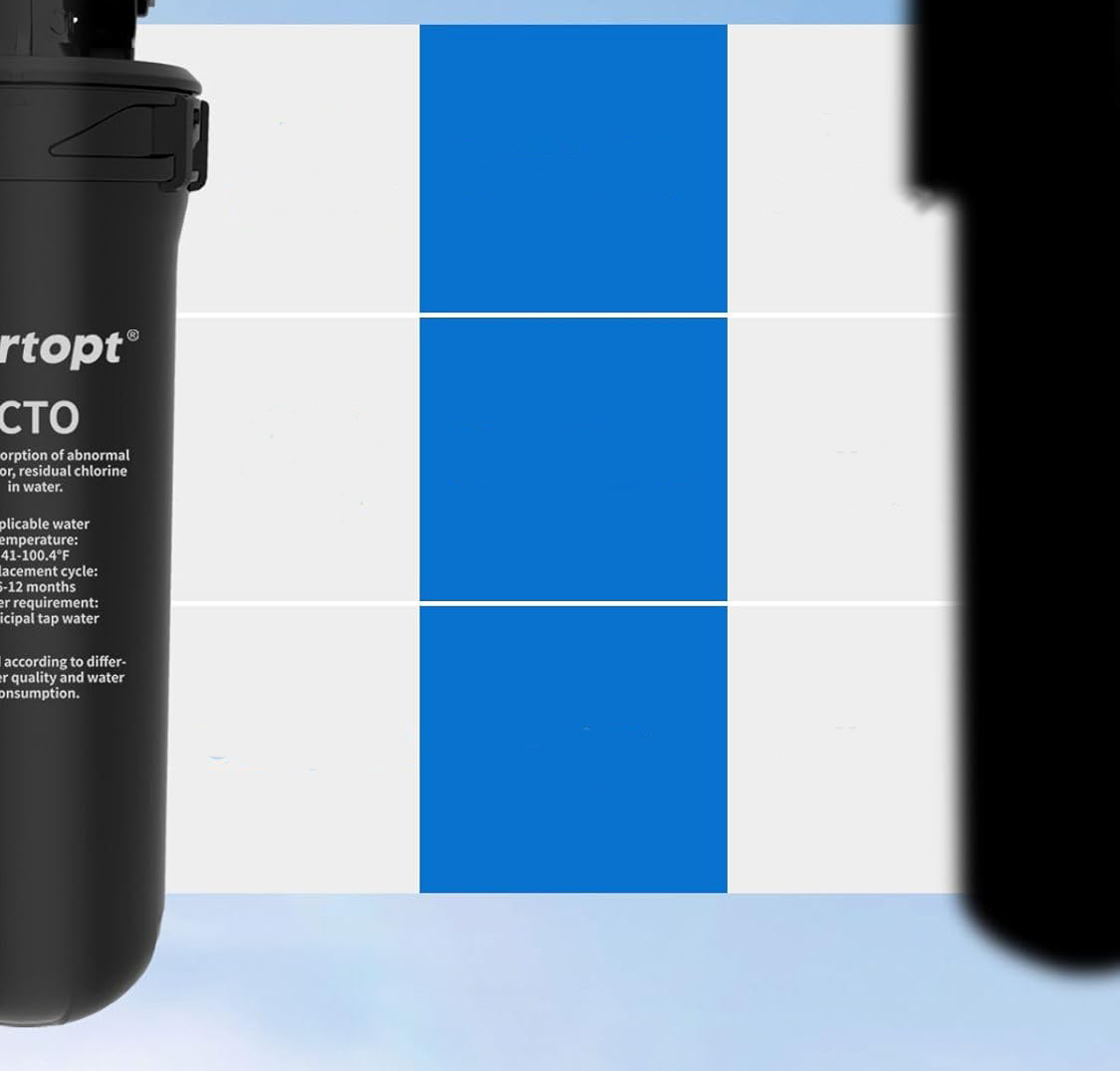 System filtracji wody Vortopt Q8-C1, 19 000 galonów, 2 filtry