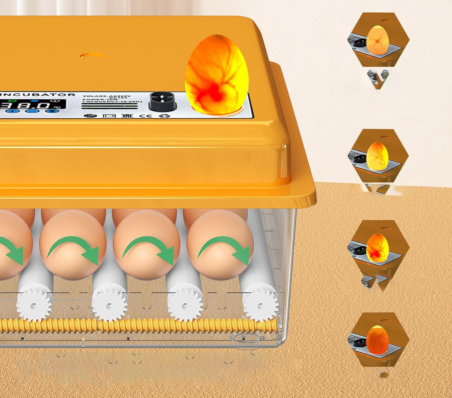 Inkubator automatycznydo jaj Chalixion FT16 regulacja temp. obrót LED woda