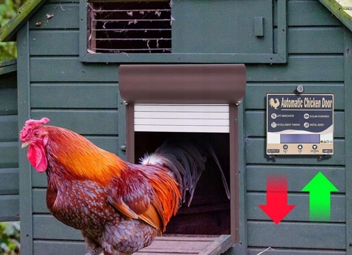 AUTOMATYCZNE DRZWI DO KURNIKA TIMER CZUJNIK ŚWIATŁA PANEL SOLARNY