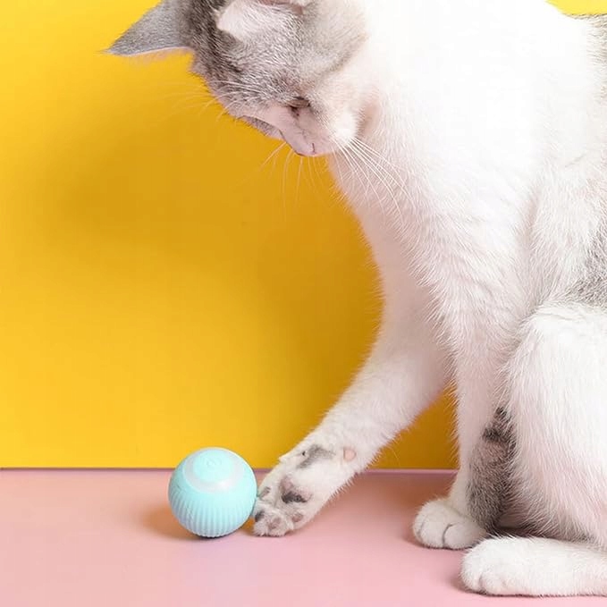 INTERAKTYWNA PIŁKA DLA KOTA INTELIGENTNA ZABAWKA DLA KOTÓW USB FD-07